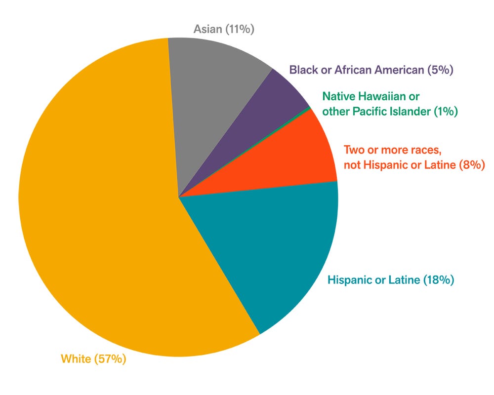 Pie chart showing COFAM staff demographics (race and ethnicity) for 2023
