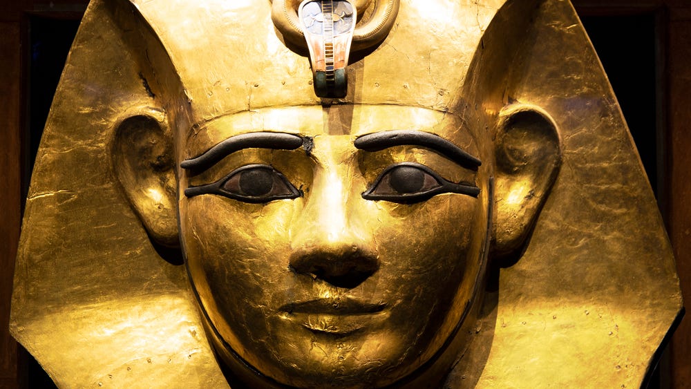 9. The Legacy of Ramses II's Blonde Hair - wide 3