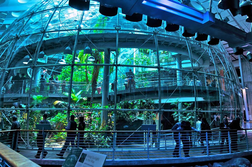 People walking on a pathway inside a globelike structure with a rainforest inside
