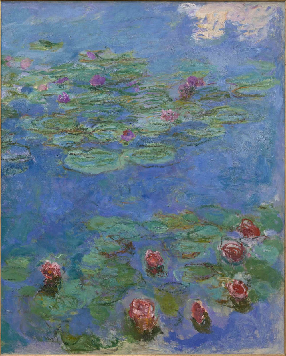 Water lilies in blue water