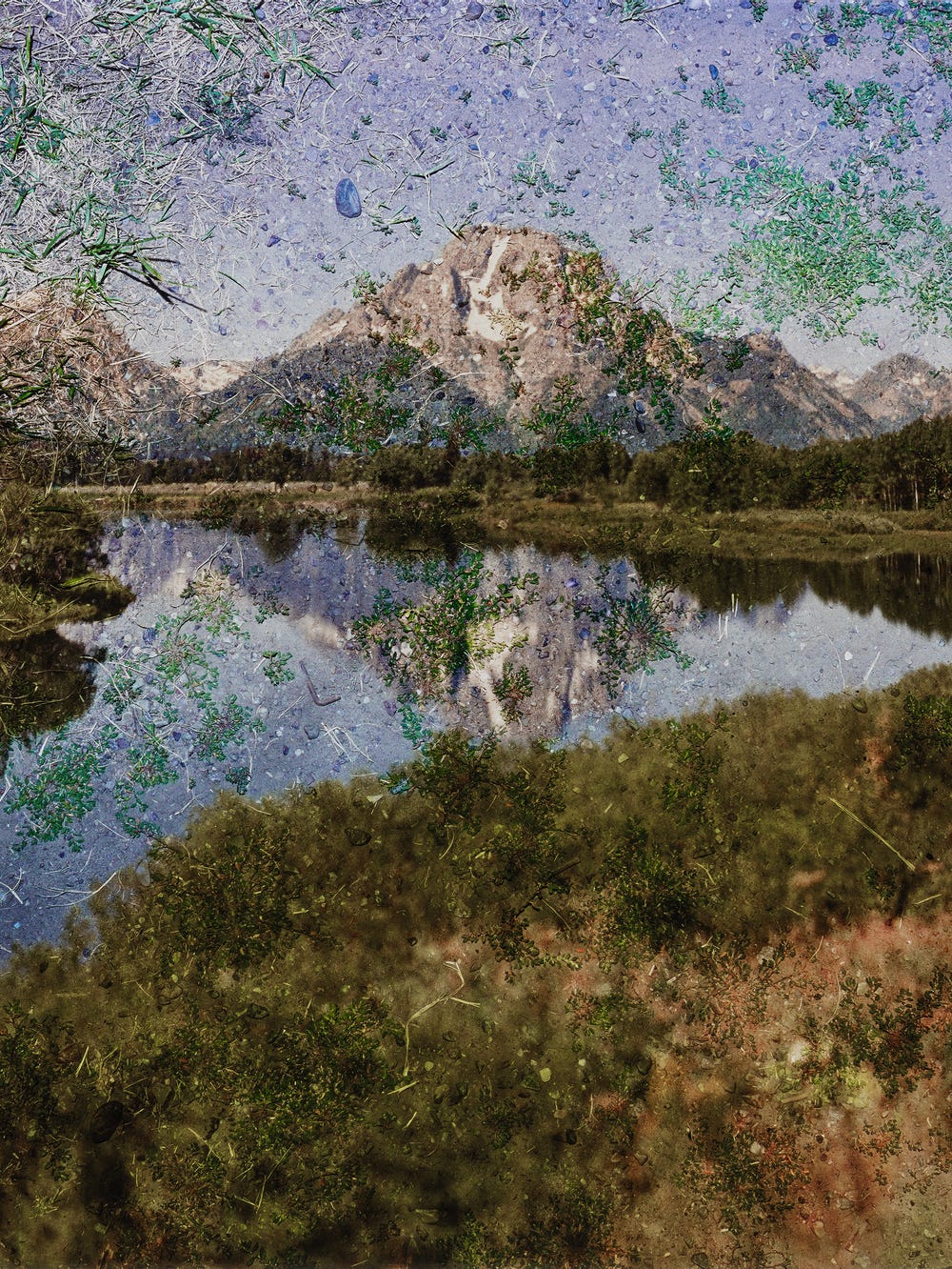 Grand Teton National Park reflected on the ground