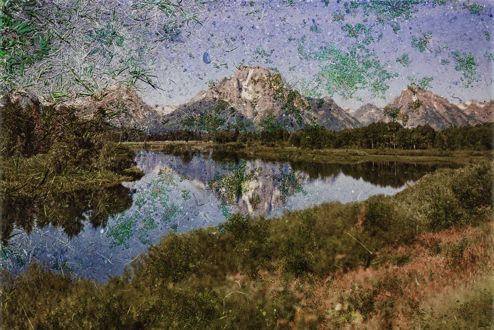 Grand Teton National Park reflected on the ground