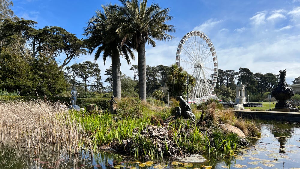 Pool of Enchantment at the de Young with ferris wheel and trees in the background