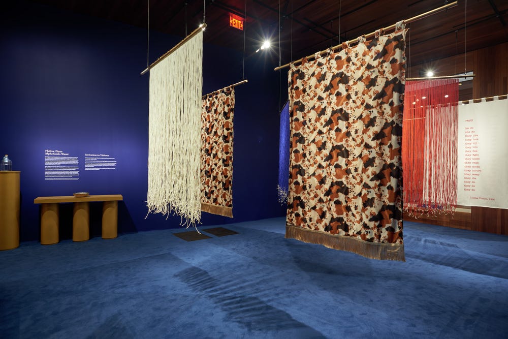 beaded and cowhide curtains hanging in a gallery with a blue carpet