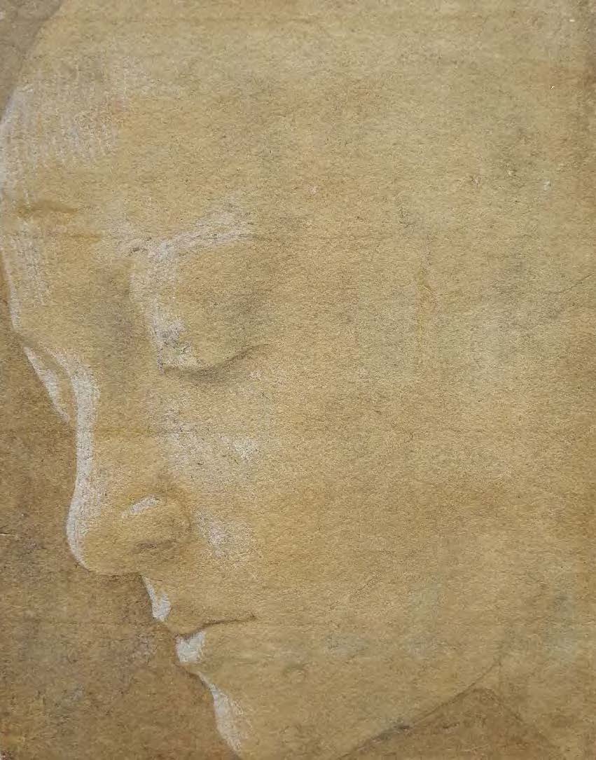 Head of a woman looking down to the left