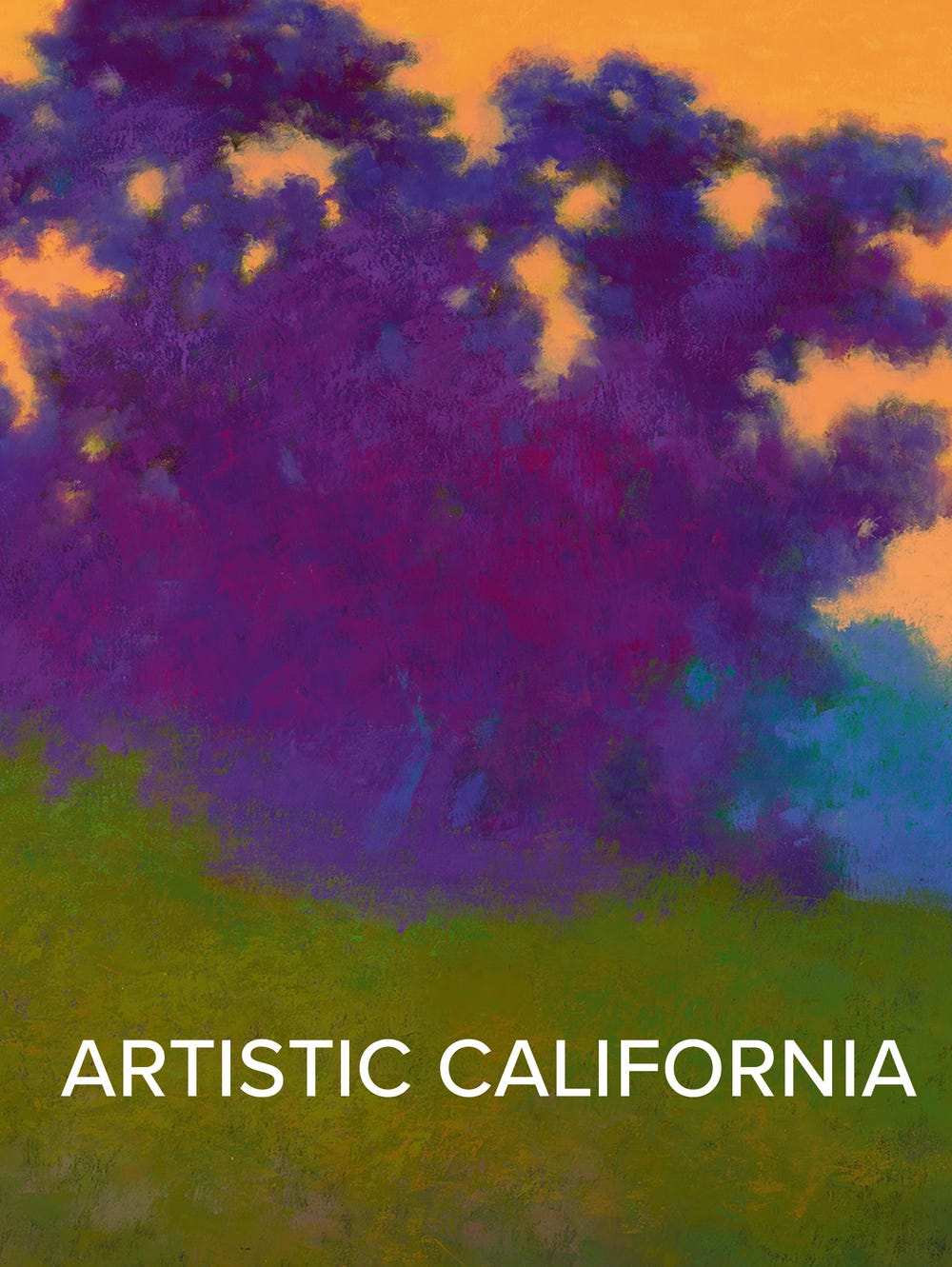 Artistic California book cover