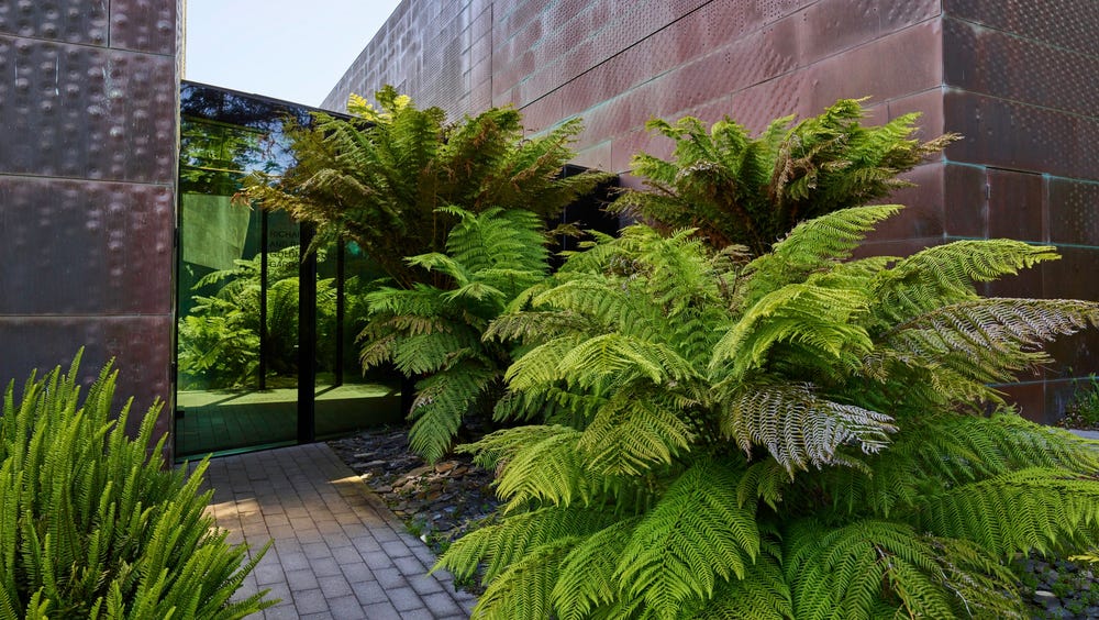 green plants in front of a bronze building
