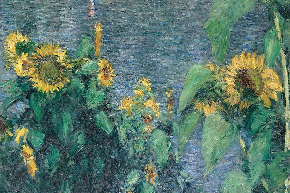 Yellow and green sunflowers along a blue river