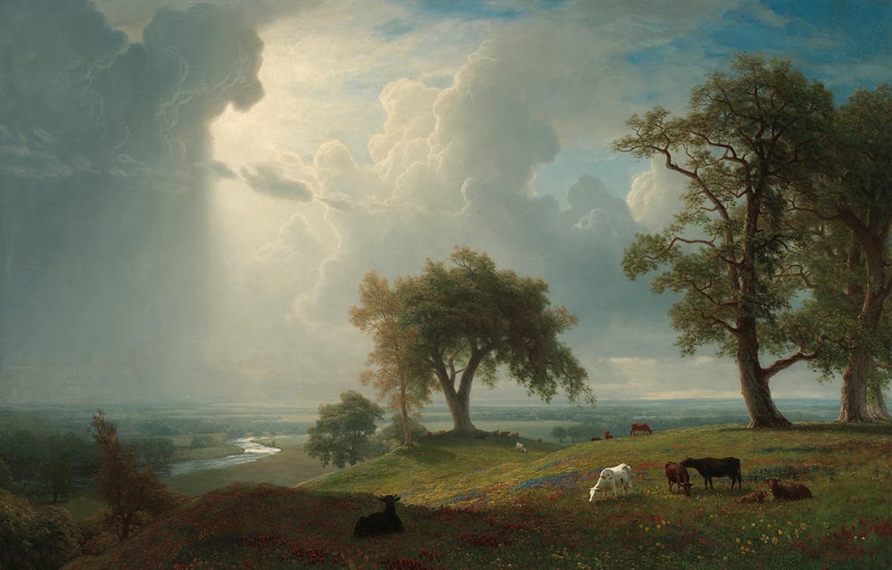 landscape with cows grazing on green hills and a blue sky full of clouds