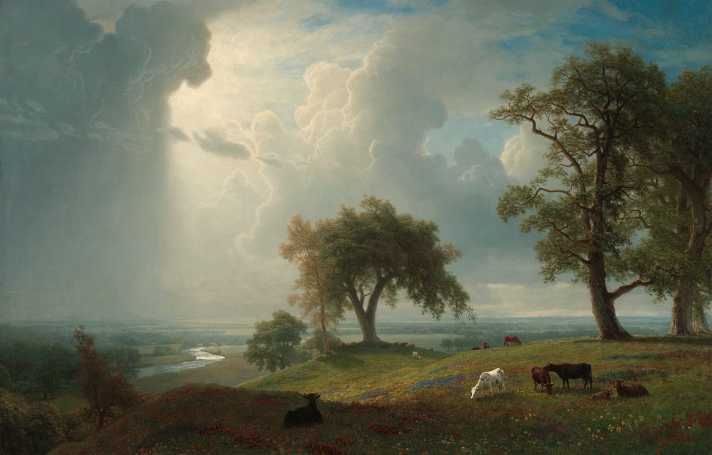 landscape with trees, animals and a stormy sky