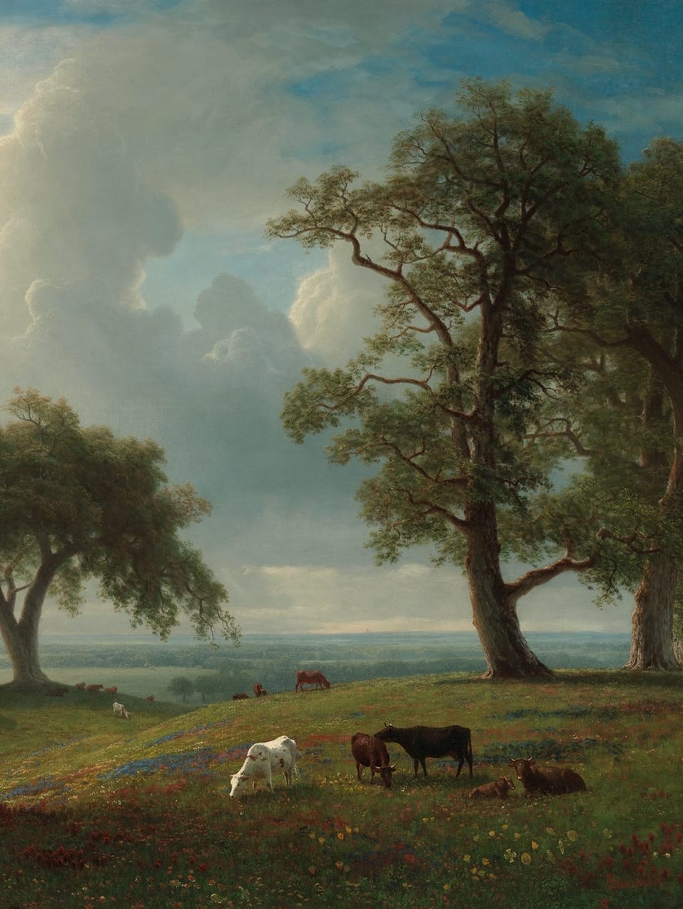 landscape with trees, animals and a stormy sky