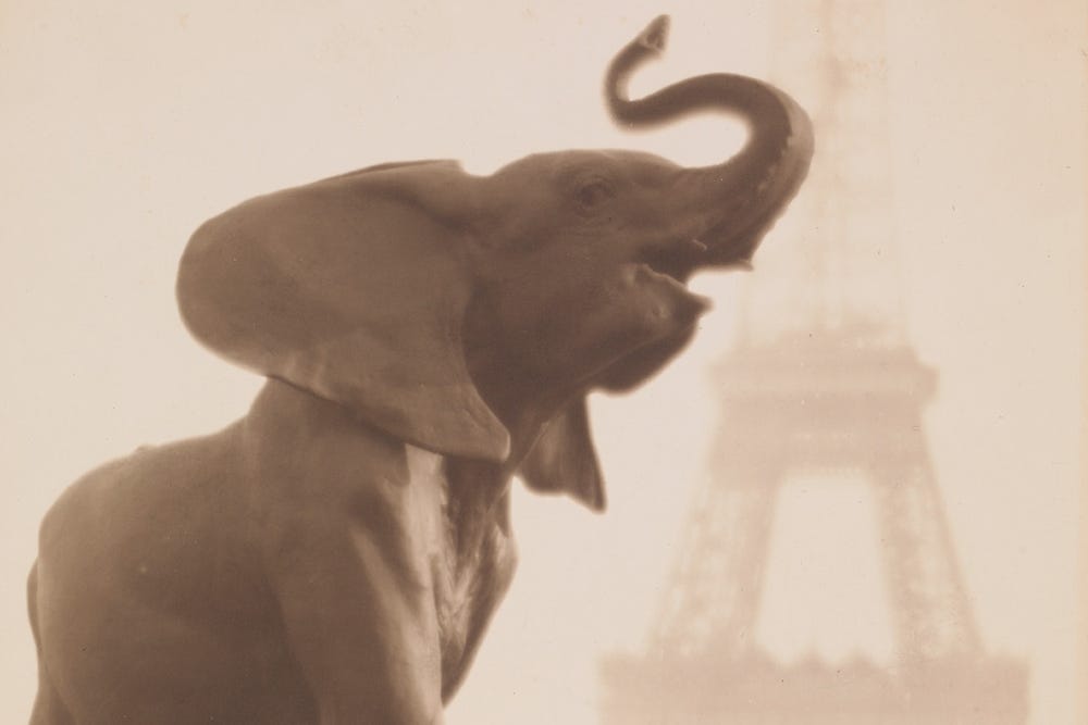 Elephant with Eiffel Tower in background.