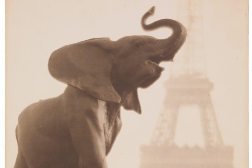 Elephant with Eiffel Tower in background.