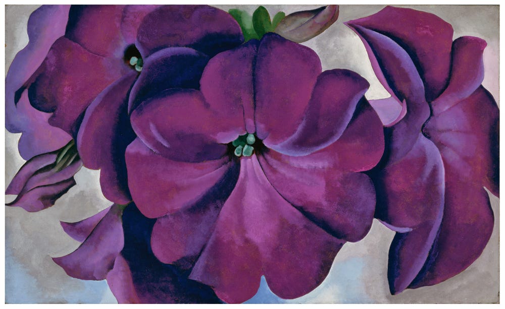 painting of purple petunias