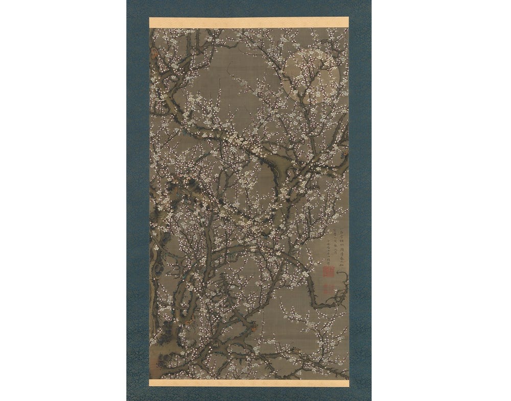 tree with plum blossoms