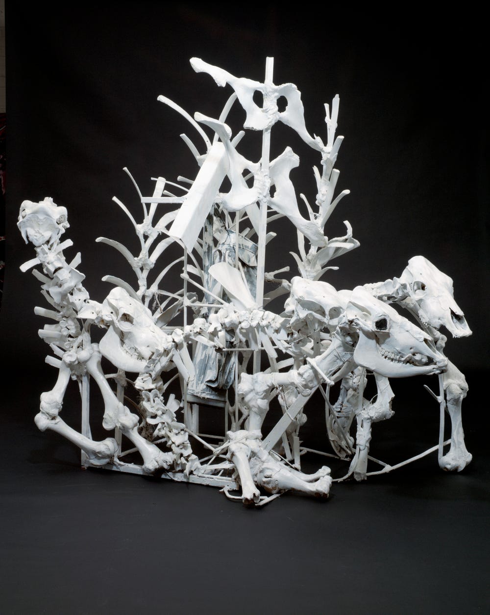 sculpture made from cow skeletons