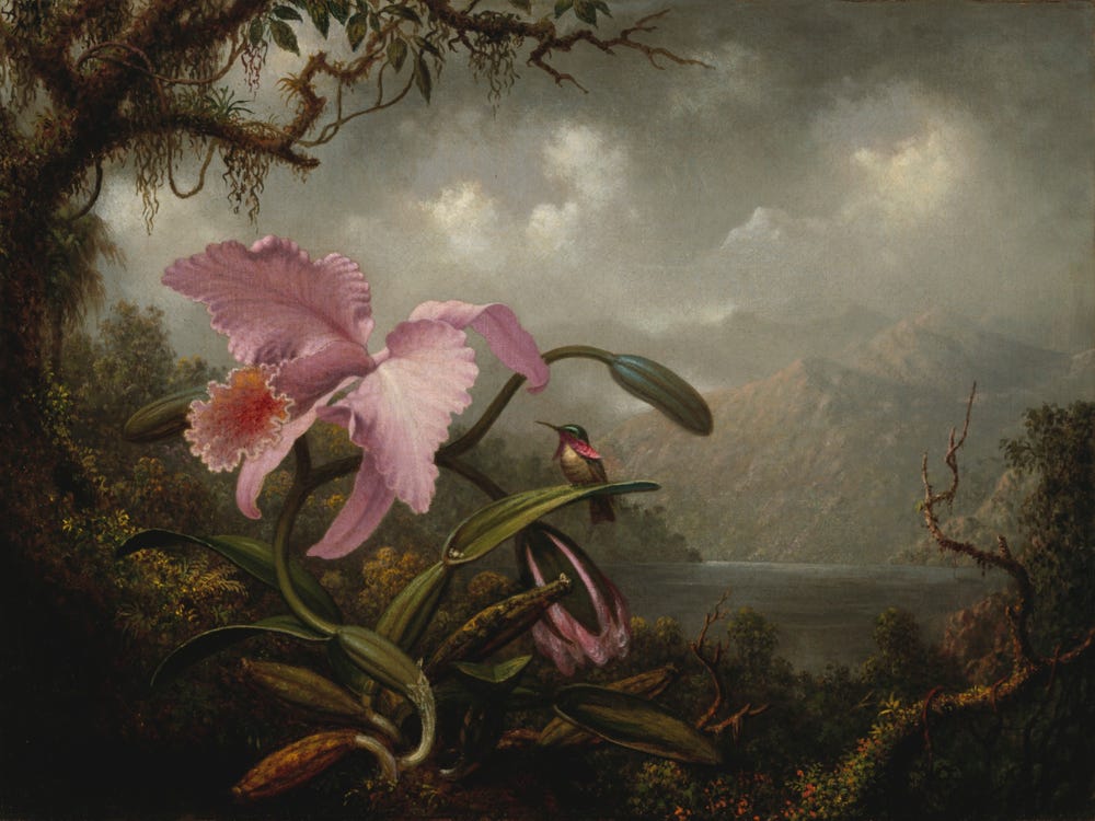 landscape painting with an orchid and hummingbird in foreground