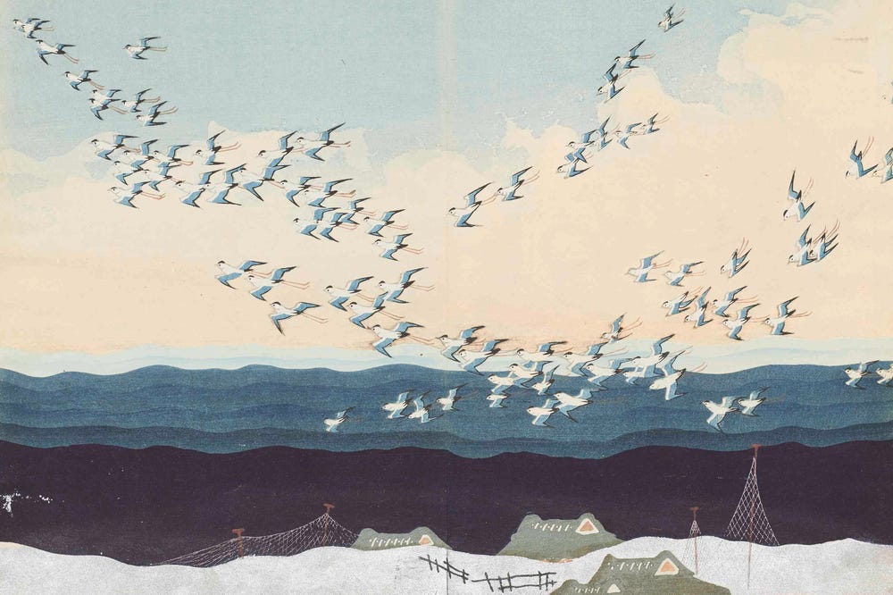 Birds flying above water