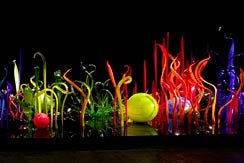 colorful installation of lights