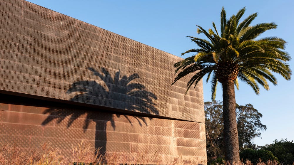 exterior of de Young museum with palm tree