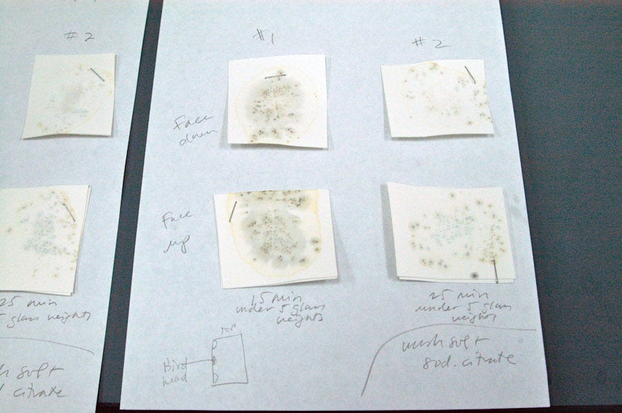 Pieces of paper laid out showing results of a textiles dye test